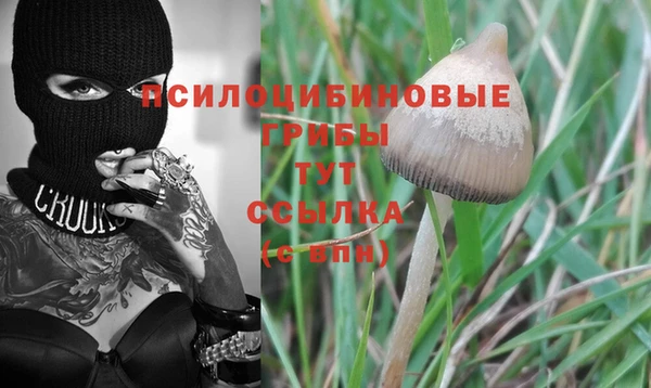 скорость Горнозаводск