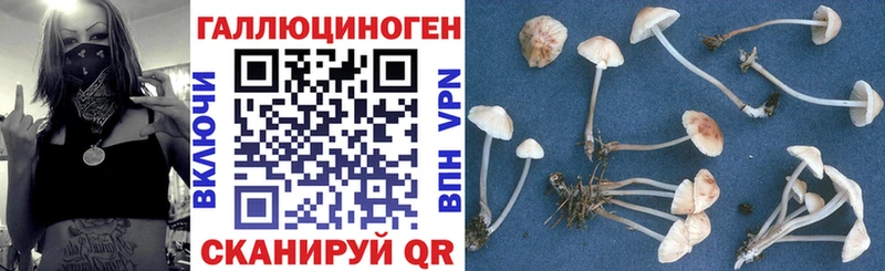 купить наркотики сайты  Певек  Галлюциногенные грибы MAGIC MUSHROOMS 